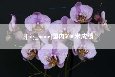 高平国内5000米成绩