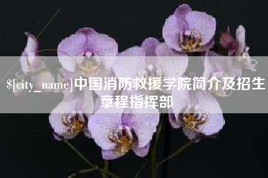高平中国消防救援学院简介及招生章程指挥部