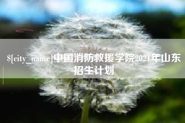 高平中国消防救援学院2021年山东招生计划