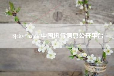 高平中国执行信息公开平台