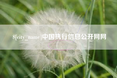 高平中国执行信息公开网网
