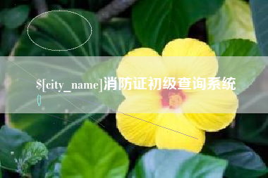 高平消防证初级查询系统