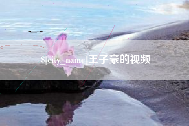 高平王子豪的视频