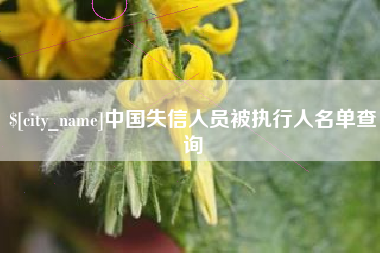 高平中国失信人员被执行人名单查询