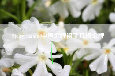 高平中国金牌得了几枚金牌