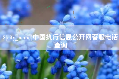 高平中国执行信息公开网客服电话查询