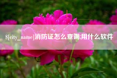 高平消防证怎么查询,用什么软件