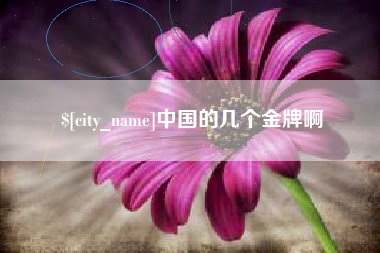 高平中国的几个金牌啊