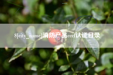 高平消防产品cccf认证目录