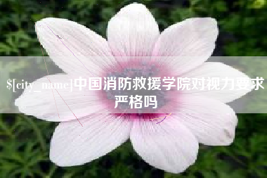 高平中国消防救援学院对视力要求严格吗