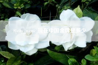 高平现在中国金牌是多少