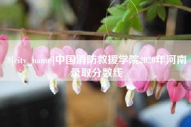 高平中国消防救援学院2020年河南录取分数线