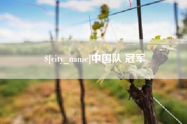 高平中国队 冠军