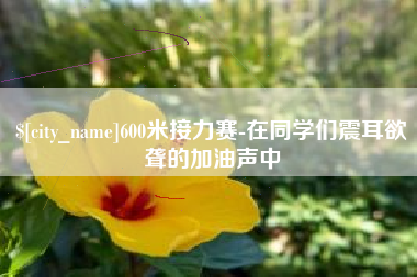 高平600米接力赛-在同学们震耳欲聋的加油声中
