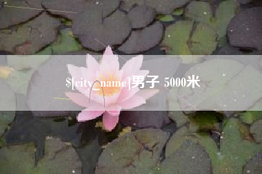 高平男子 5000米