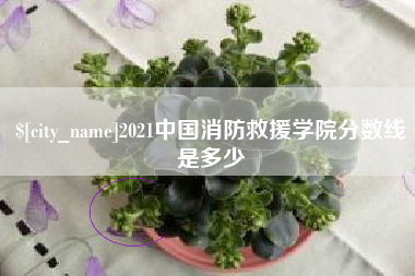 高平2021中国消防救援学院分数线是多少