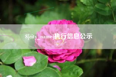 高平执行信息公示