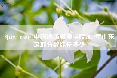 高平中国消防救援学院2021年山东录取分数线是多少