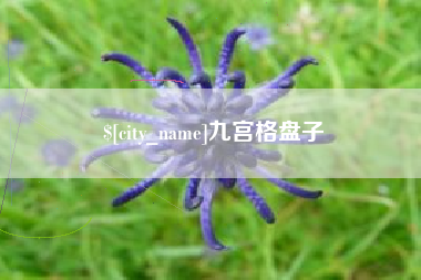 高平九宫格盘子