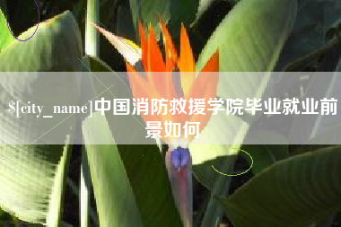 高平中国消防救援学院毕业就业前景如何