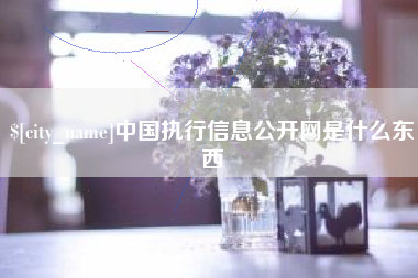 高平中国执行信息公开网是什么东西