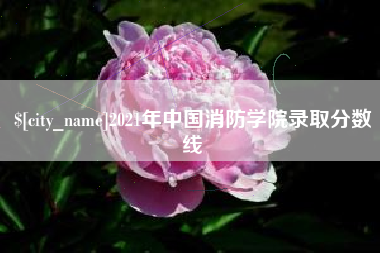 高平2021年中国消防学院录取分数线