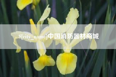 高平中国消防器材商城