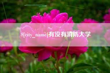 高平有没有消防大学