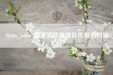 高平国家消防救援队伍报名网址