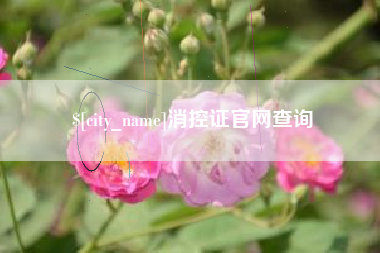 高平消控证官网查询