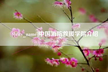 高平中国消防救援学院介绍