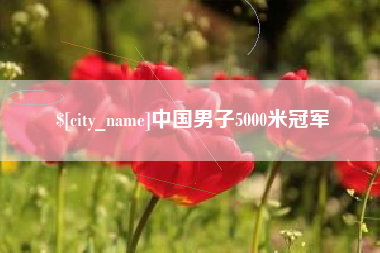 高平中国男子5000米冠军