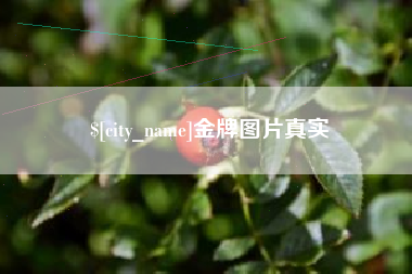 高平金牌图片真实