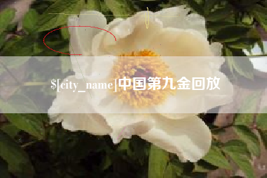 高平中国第九金回放