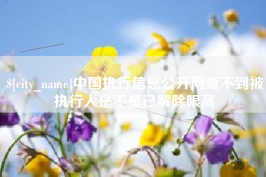高平中国执行信息公开网查不到被执行人是不是已解除限高
