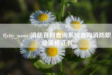 高平消防官网查询系统查询消防职业资格证书