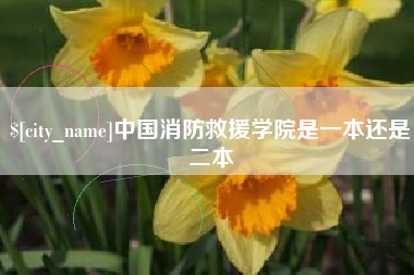 高平中国消防救援学院是一本还是二本