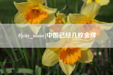 高平中国已经几枚金牌