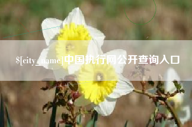 高平中国执行网公开查询入口