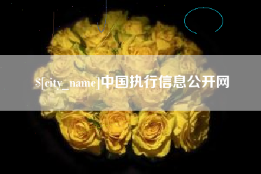 高平中国执行信息公开网
