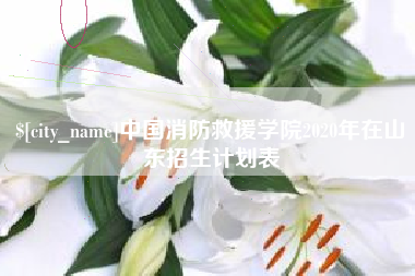 高平中国消防救援学院2020年在山东招生计划表