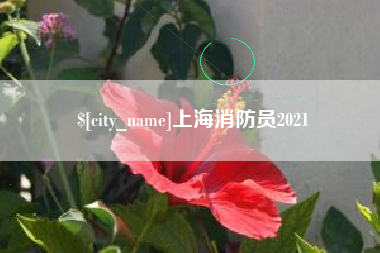 高平上海消防员2021
