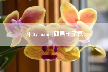 高平邱县王子磊