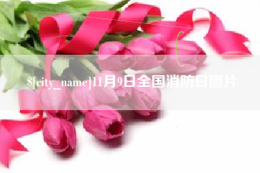 高平11月9日全国消防日图片