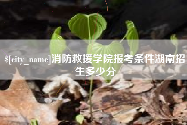 高平消防救援学院报考条件湖南招生多少分