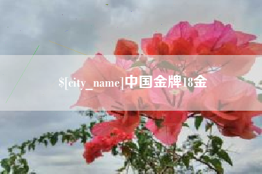 高平中国金牌18金