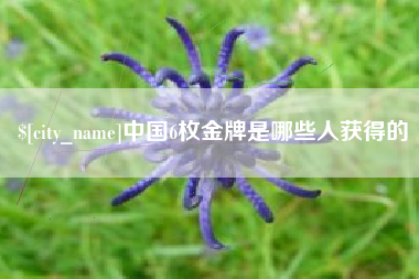 高平中国6枚金牌是哪些人获得的