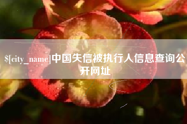 高平中国失信被执行人信息查询公开网址