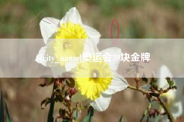 高平奥运会39块金牌