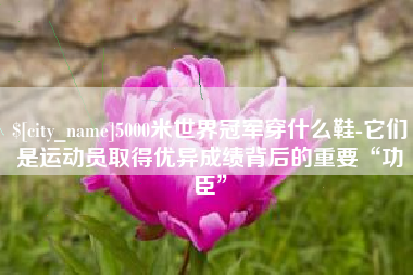 高平5000米世界冠军穿什么鞋-它们是运动员取得优异成绩背后的重要“功臣”